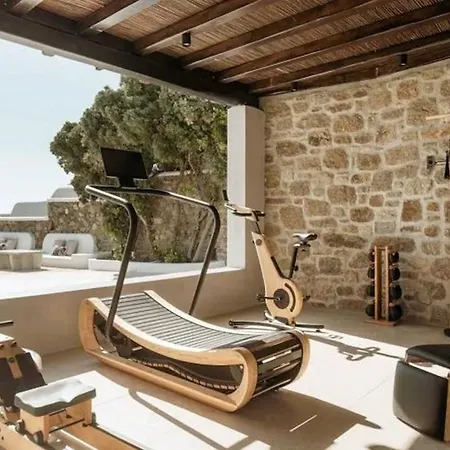 Villa Luxury Mykonos Estate Ornos (Mykonos)